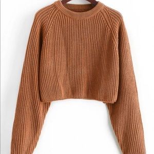 Raglan crop sleeve jumped sweater
